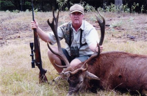HARRISON RED STAG 04